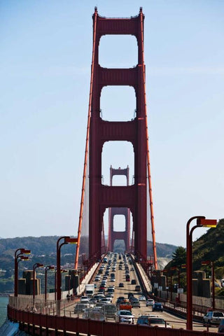 Golden Gate III Black Ornate Wood Framed Art Print with Double Matting by Stefko, Bob