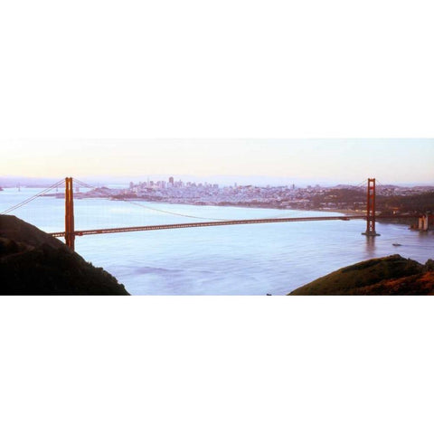 Golden Gate VI White Modern Wood Framed Art Print by Stefko, Bob