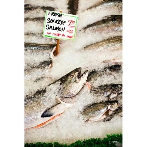 Fresh Seafood II White Modern Wood Framed Art Print by Stefko, Bob