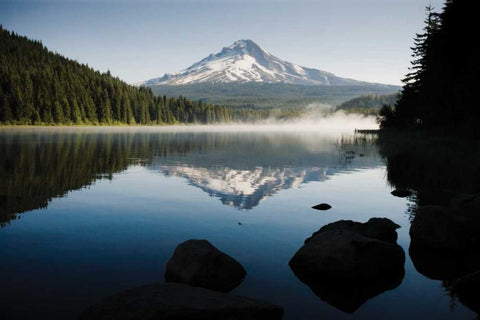 Mt. Hood in Summer I Black Ornate Wood Framed Art Print with Double Matting by Stefko, Bob