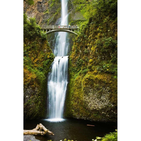 Multnomah Falls I Black Modern Wood Framed Art Print with Double Matting by Stefko, Bob