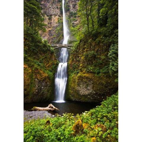 Multnomah Falls II Black Modern Wood Framed Art Print with Double Matting by Stefko, Bob