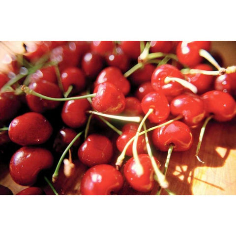 Cherries II White Modern Wood Framed Art Print by Stefko, Bob