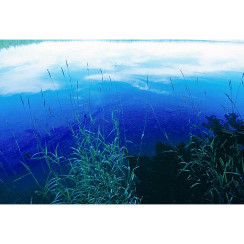At Waters Edge II Black Modern Wood Framed Art Print with Double Matting by Stefko, Bob