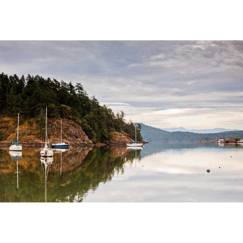 Sooke Harbor I White Modern Wood Framed Art Print by Stefko, Bob