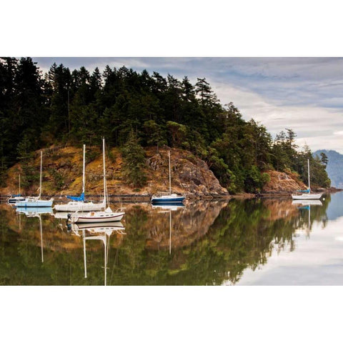 Sooke Harbor II Black Modern Wood Framed Art Print with Double Matting by Stefko, Bob