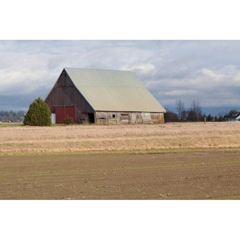 Red Door Barn Gold Ornate Wood Framed Art Print with Double Matting by Styber, Dana