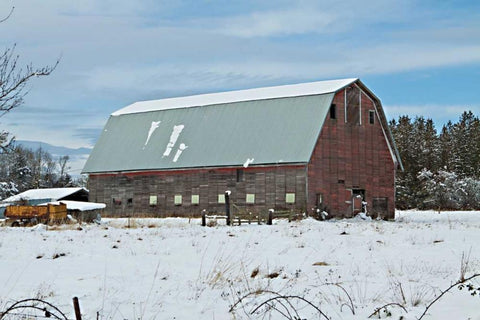 Red Barn in Winter White Modern Wood Framed Art Print with Double Matting by Styber, Dana