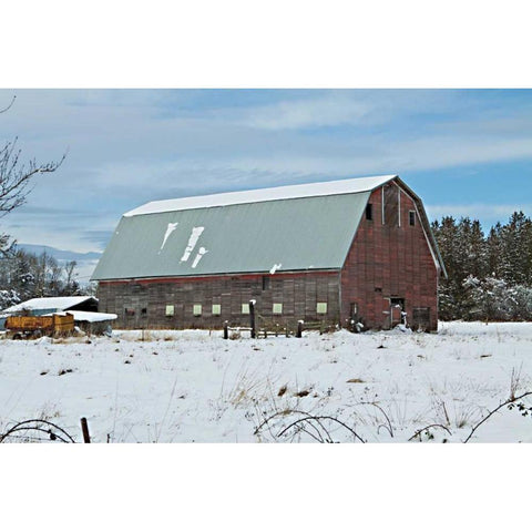 Red Barn in Winter Gold Ornate Wood Framed Art Print with Double Matting by Styber, Dana