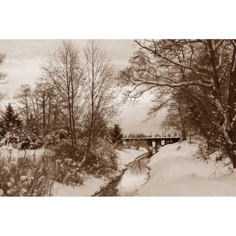 Winter Scenic I Gold Ornate Wood Framed Art Print with Double Matting by Styber, Dana