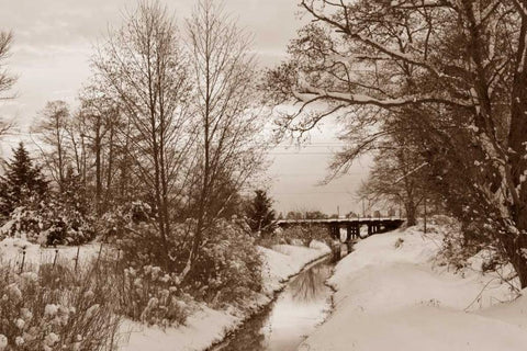 Winter Scenic I Black Ornate Wood Framed Art Print with Double Matting by Styber, Dana