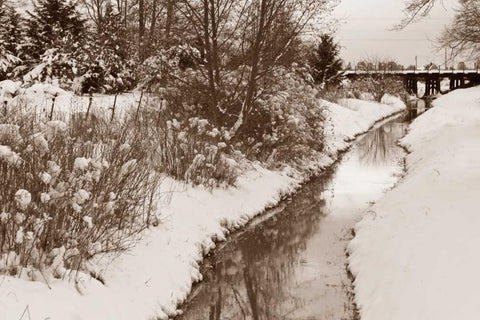 Winter Scenic II White Modern Wood Framed Art Print with Double Matting by Styber, Dana