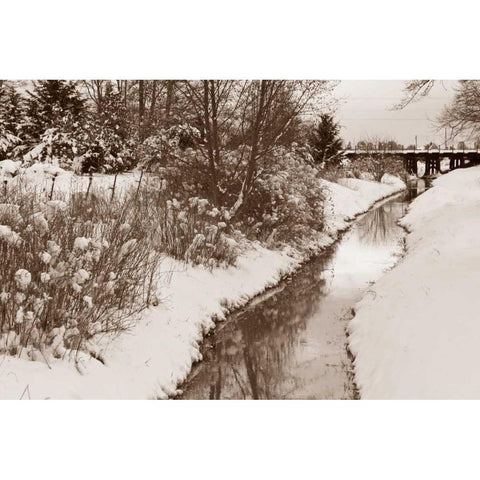 Winter Scenic II Gold Ornate Wood Framed Art Print with Double Matting by Styber, Dana