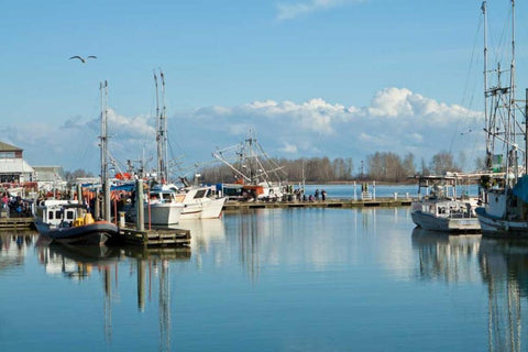 Steveston Scenic I White Modern Wood Framed Art Print with Double Matting by Styber, Dana