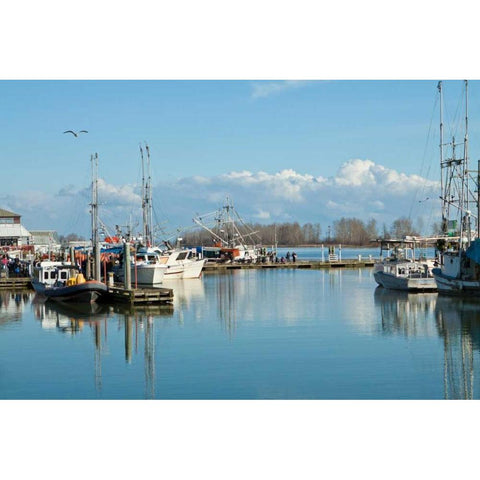 Steveston Scenic I Gold Ornate Wood Framed Art Print with Double Matting by Styber, Dana