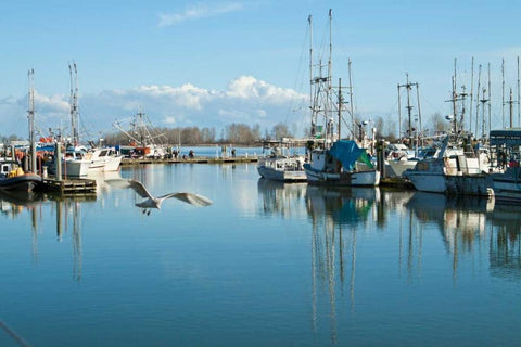 Steveston Scenic II Black Ornate Wood Framed Art Print with Double Matting by Styber, Dana