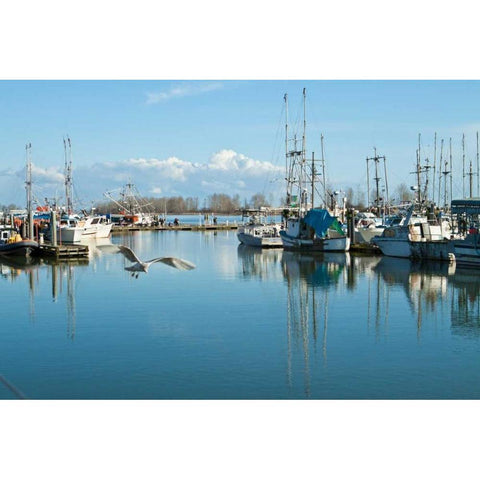 Steveston Scenic II Gold Ornate Wood Framed Art Print with Double Matting by Styber, Dana