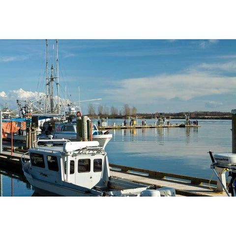 Steveston Scenic III Gold Ornate Wood Framed Art Print with Double Matting by Styber, Dana