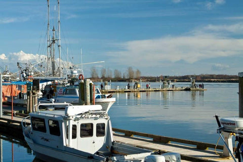 Steveston Scenic III White Modern Wood Framed Art Print with Double Matting by Styber, Dana