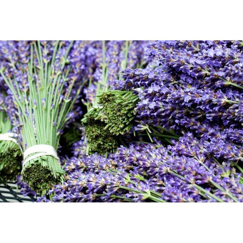 Lavender Bunches I Black Modern Wood Framed Art Print by Styber, Dana