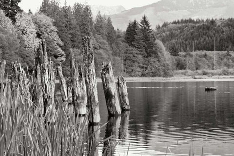 Baker Lake Pilings Black Ornate Wood Framed Art Print with Double Matting by Styber, Dana