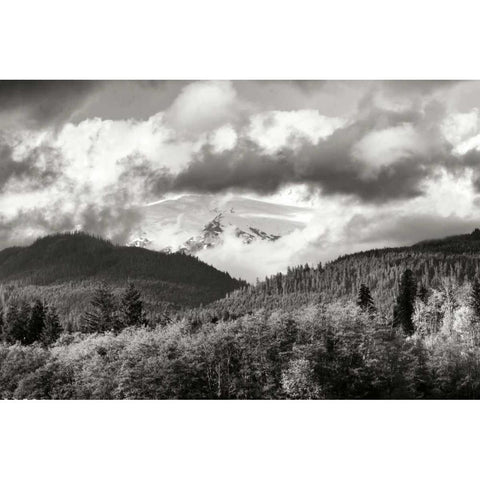 Mount Baker Exposed Black Modern Wood Framed Art Print with Double Matting by Styber, Dana