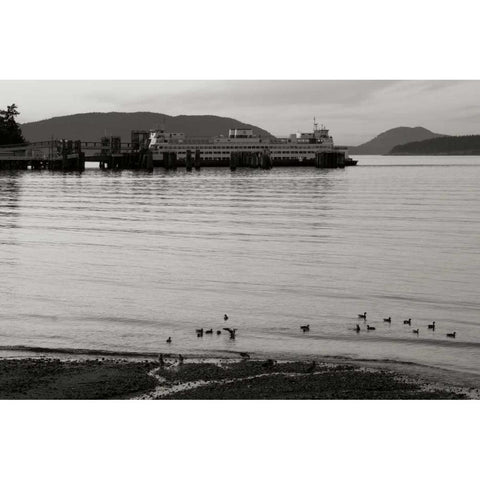 San Juan Ferry Dock I Black Modern Wood Framed Art Print with Double Matting by Styber, Dana