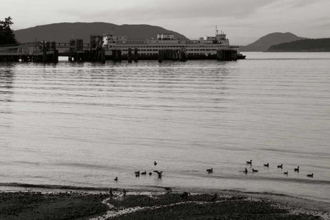 San Juan Ferry Dock I White Modern Wood Framed Art Print with Double Matting by Styber, Dana