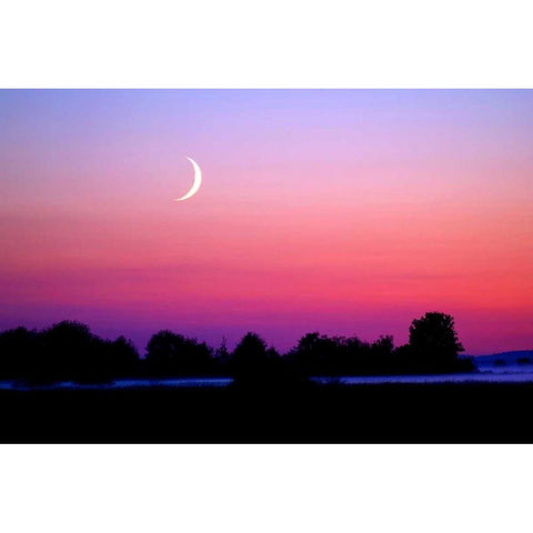 Crescent at Twilight White Modern Wood Framed Art Print by Taylor, Douglas