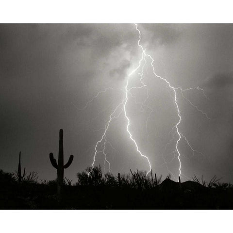 Electric Desert I - BW White Modern Wood Framed Art Print by Taylor, Douglas