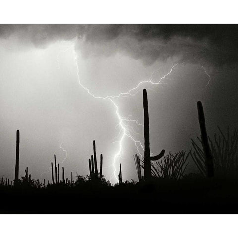 Electric Desert II - BW Black Modern Wood Framed Art Print with Double Matting by Taylor, Douglas