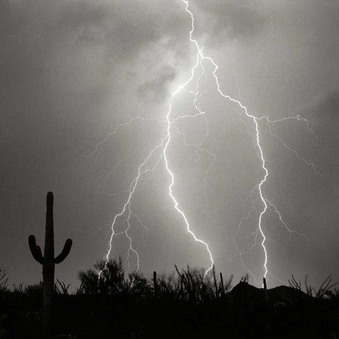 Electric Desert III - BW White Modern Wood Framed Art Print with Double Matting by Taylor, Douglas