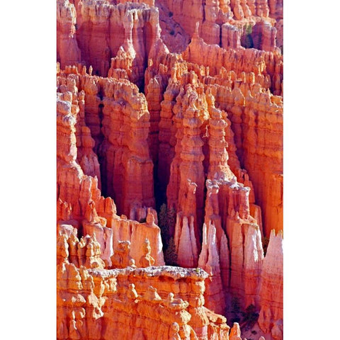 Hoodoos at Dawn Black Modern Wood Framed Art Print with Double Matting by Taylor, Douglas