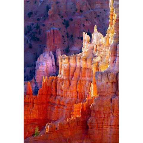 Bryce Canyon Dawn Gold Ornate Wood Framed Art Print with Double Matting by Taylor, Douglas