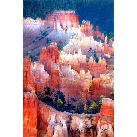 Inspiring Light White Modern Wood Framed Art Print by Taylor, Douglas