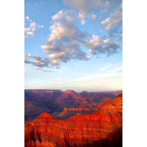 Grand Canyon I White Modern Wood Framed Art Print by Taylor, Douglas