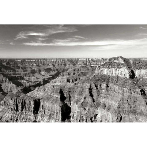 Grand Canyon Dawn II BW White Modern Wood Framed Art Print by Taylor, Douglas