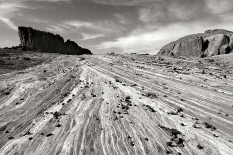 Sands of Time I BW Black Ornate Wood Framed Art Print with Double Matting by Taylor, Douglas