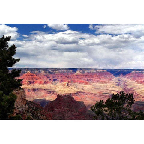 Grand Canyon Skies Gold Ornate Wood Framed Art Print with Double Matting by Taylor, Douglas