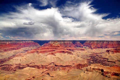 Grand Canyon Winds Black Ornate Wood Framed Art Print with Double Matting by Taylor, Douglas