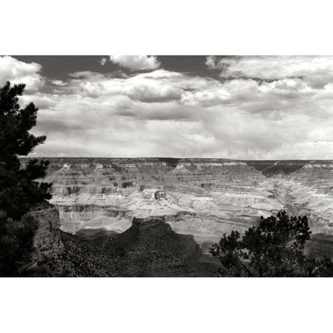 Grand Canyon Skies BW Gold Ornate Wood Framed Art Print with Double Matting by Taylor, Douglas