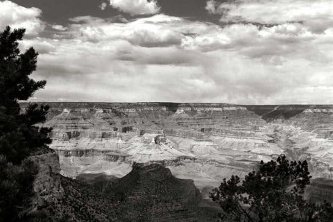 Grand Canyon Skies BW Black Ornate Wood Framed Art Print with Double Matting by Taylor, Douglas