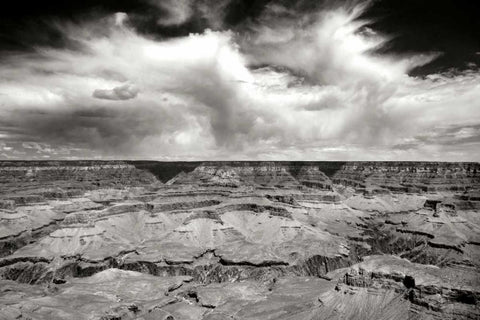 Grand Canyon Winds BW Black Ornate Wood Framed Art Print with Double Matting by Taylor, Douglas