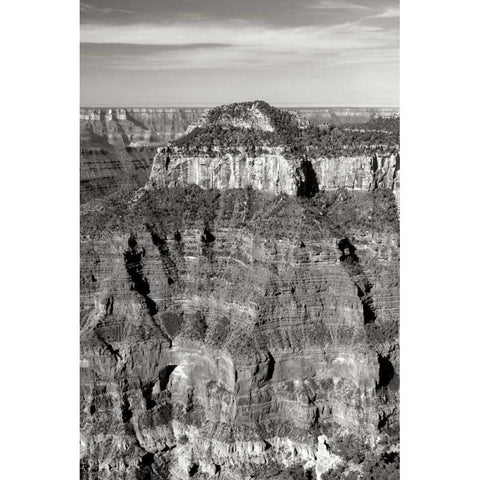 Oza Butte Portrait BW White Modern Wood Framed Art Print by Taylor, Douglas