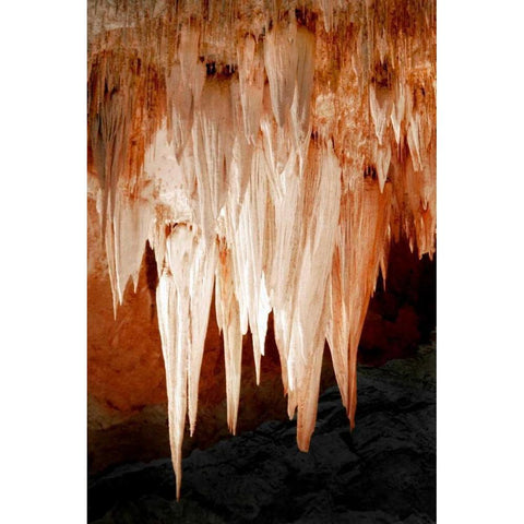 Carlsbad Cavern I Gold Ornate Wood Framed Art Print with Double Matting by Taylor, Douglas