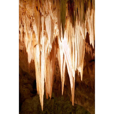 Carlsbad Cavern II Gold Ornate Wood Framed Art Print with Double Matting by Taylor, Douglas