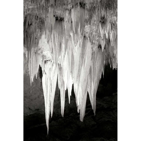 Carlsbad Cavern I BW White Modern Wood Framed Art Print by Taylor, Douglas