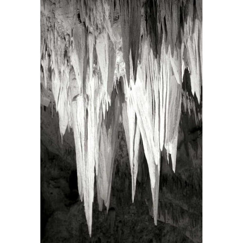 Carlsbad Cavern II BW White Modern Wood Framed Art Print by Taylor, Douglas