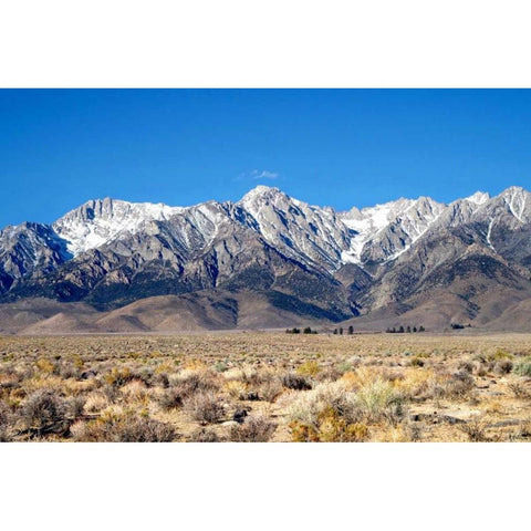 Sierra Nevada Mountains I Black Modern Wood Framed Art Print by Taylor, Douglas