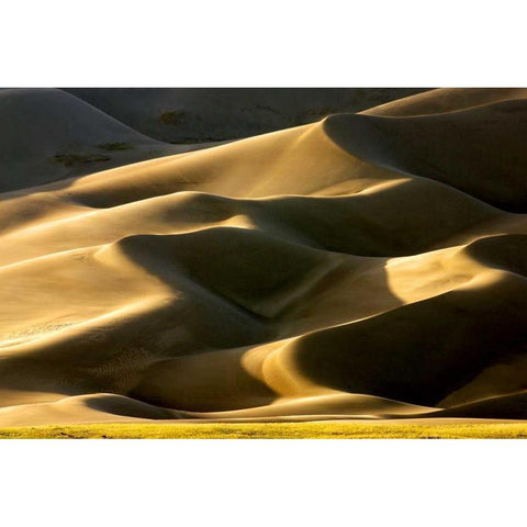 Great Sand Dunes II Gold Ornate Wood Framed Art Print with Double Matting by Taylor, Douglas